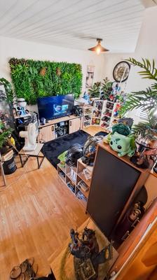 Appartement - 29 m² - 2 pièces