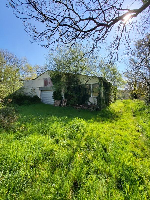 Hangar - 520 m² - 1 pièce