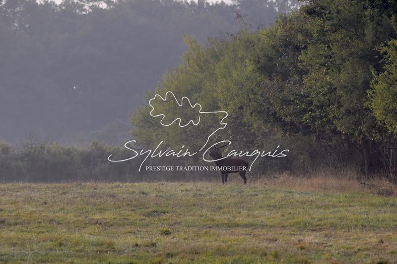 Propriété - 800 m² - 25 pièces