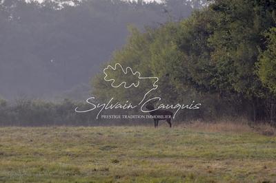 Propriété - 800 m² - 25 pièces