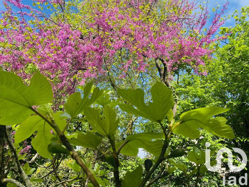 Maison - 142 m² - 4 pièces