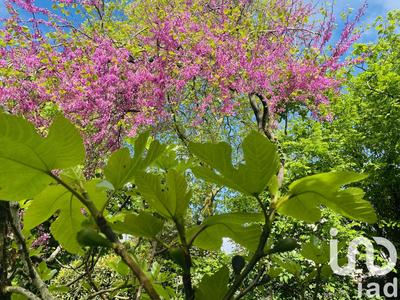 Maison - 142 m² - 4 pièces