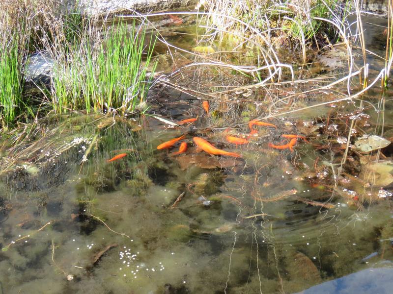 Maison - 280 m² - 8 pièces