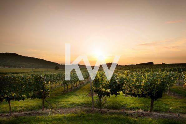 Propriété - 884 m² - 15 pièces