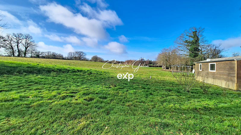 Local commercial - 300 m²