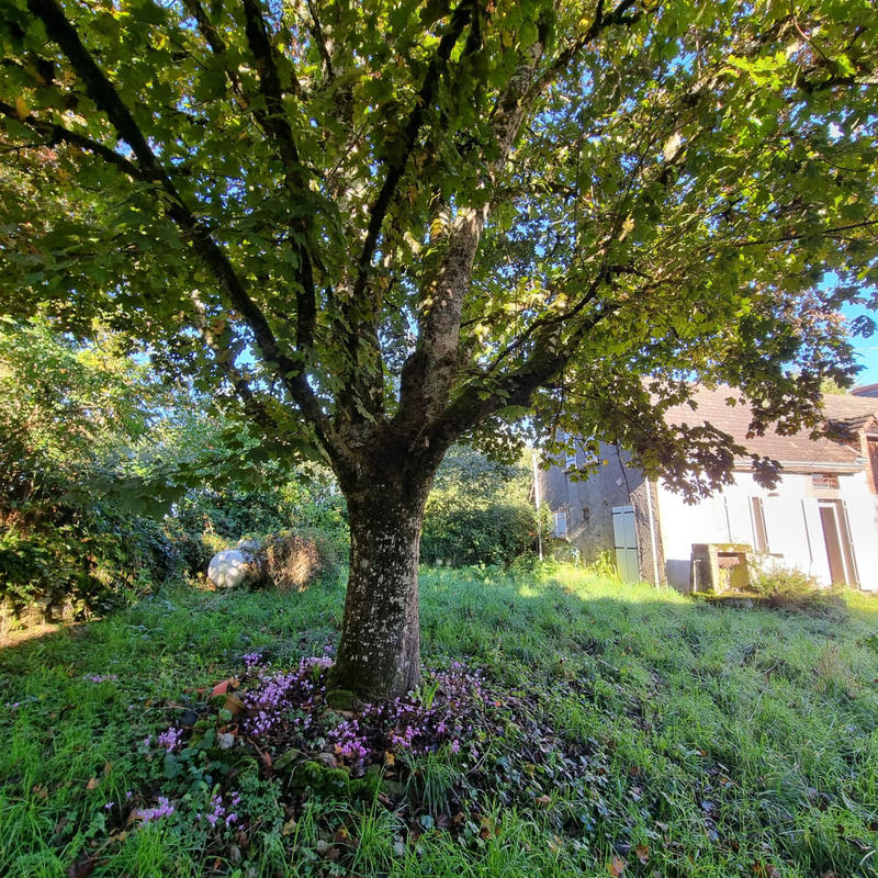 Maison - 96 m² - 3 pièces