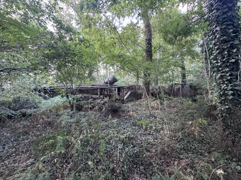 Terrain - 50 154 m²