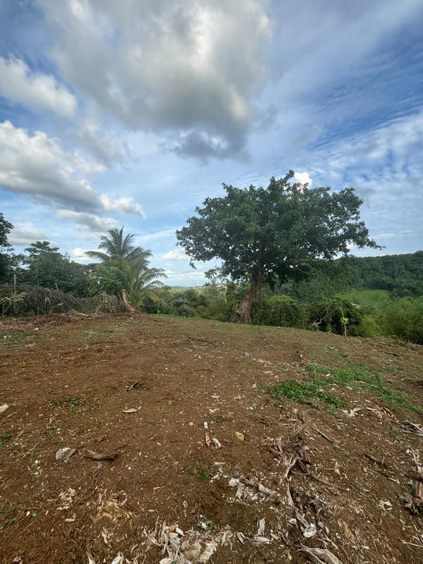Terrain - 1 016 m²