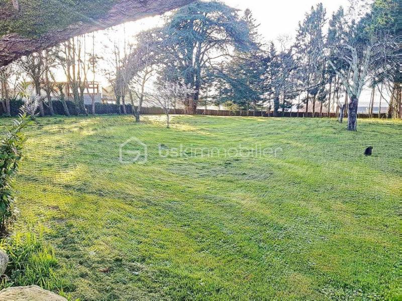 Maison en pierre - 260 m² - 6 pièces