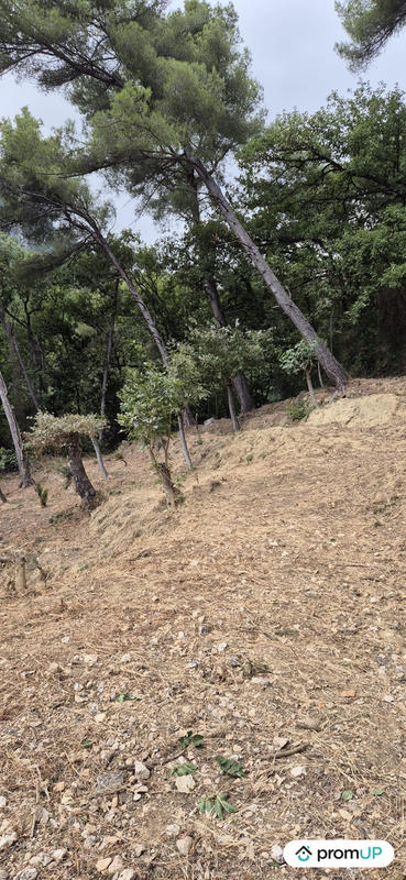 Terrain de loisirs - 2 048 m²