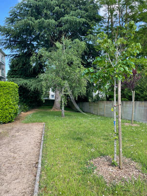 Appartement - 68 m² - 3 pièces