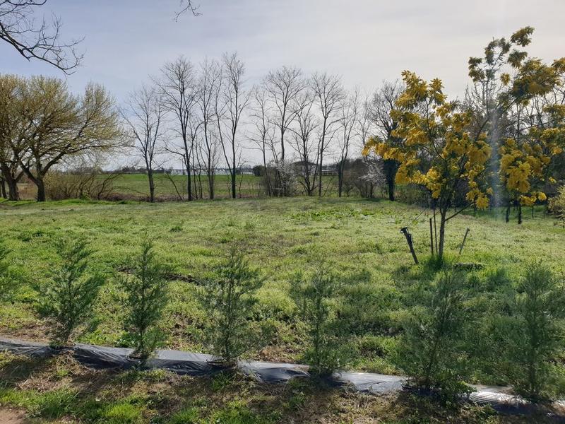 Terrain constructible - 1 320 m²