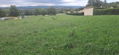 Terrain - 1 009 m²