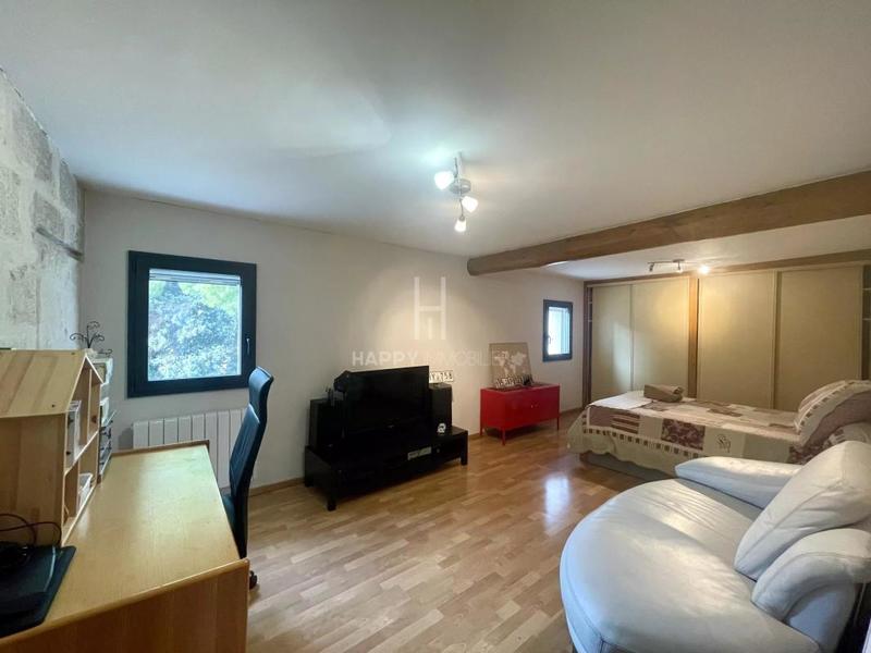 Mas - 450 m² - 5 pièces