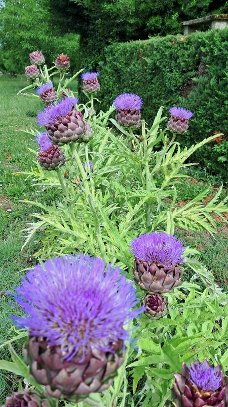 Maison - 114 m² - 5 pièces