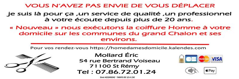 Mollard eric Homedames