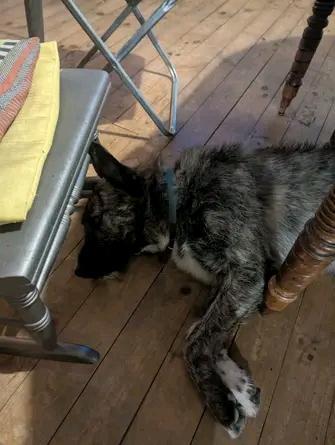 Appartement - 82 m² - 3 pièces