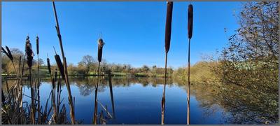 Terrain de loisirs - 14 317 m²