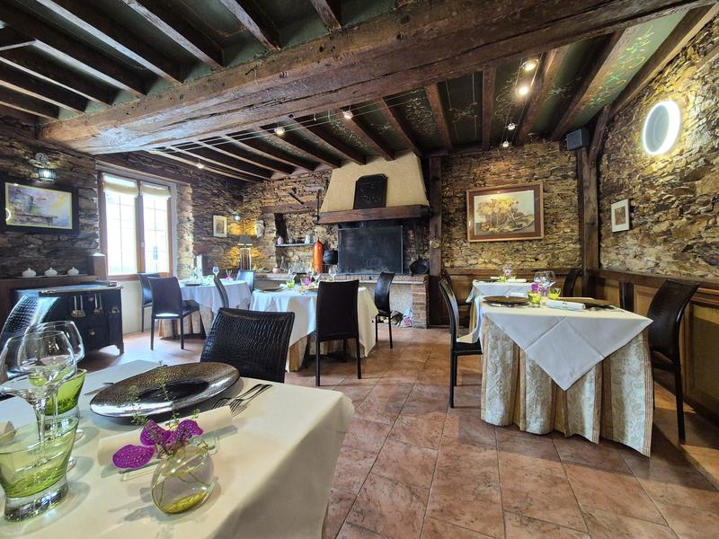 Maison ancienne - 530 m² - 11 pièces