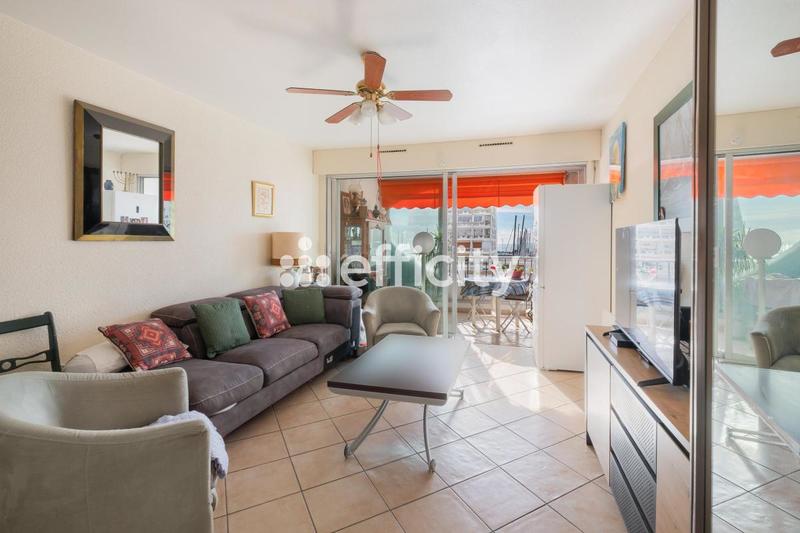 Studio - 25 m² - 1 pièce