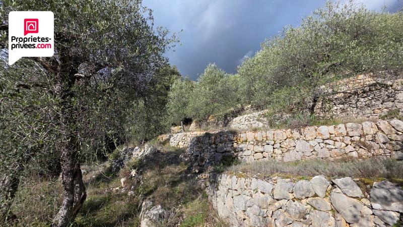 Terrain - 16 190 m²