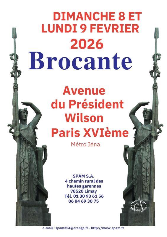 Brocante professionnelle wilson