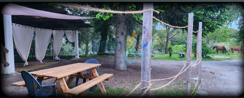 Propriété - 250 m² - 11 pièces