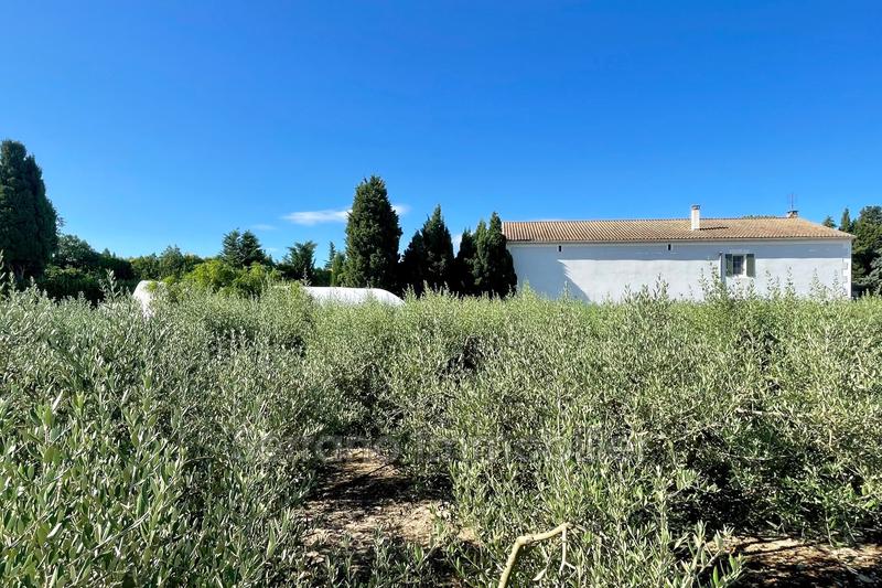 Mas - 172 m² - 5 pièces