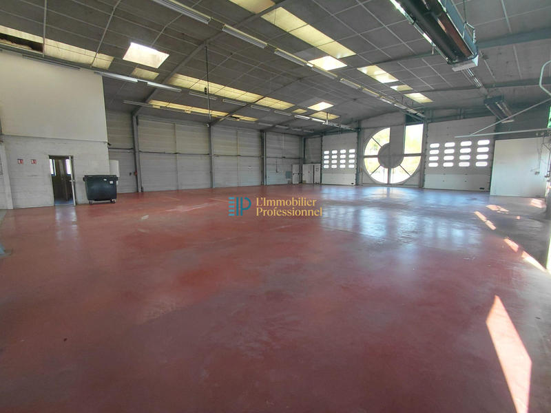 Local d'activités - 940 m²