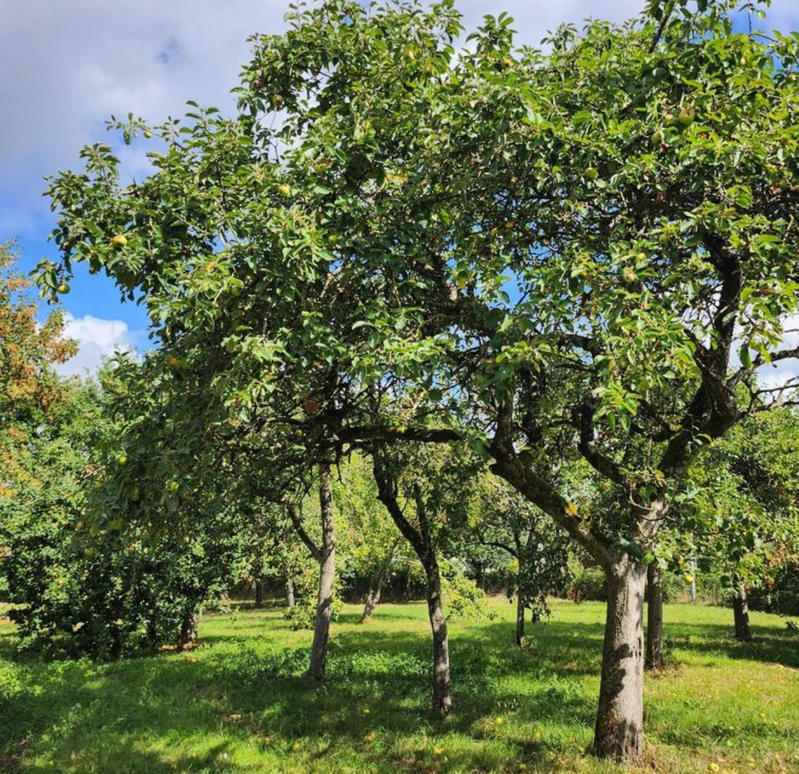 Maison - 120 m² - 8 pièces