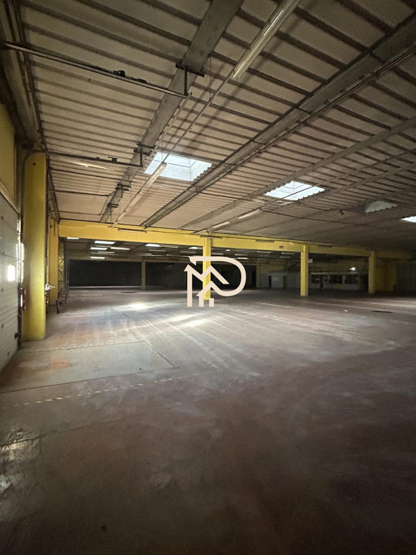 Entrepôt - 3 000 m²