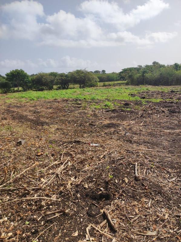 Terrain constructible - 2 154 m²