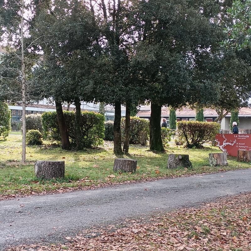 Yoga, Souffle et Méditation