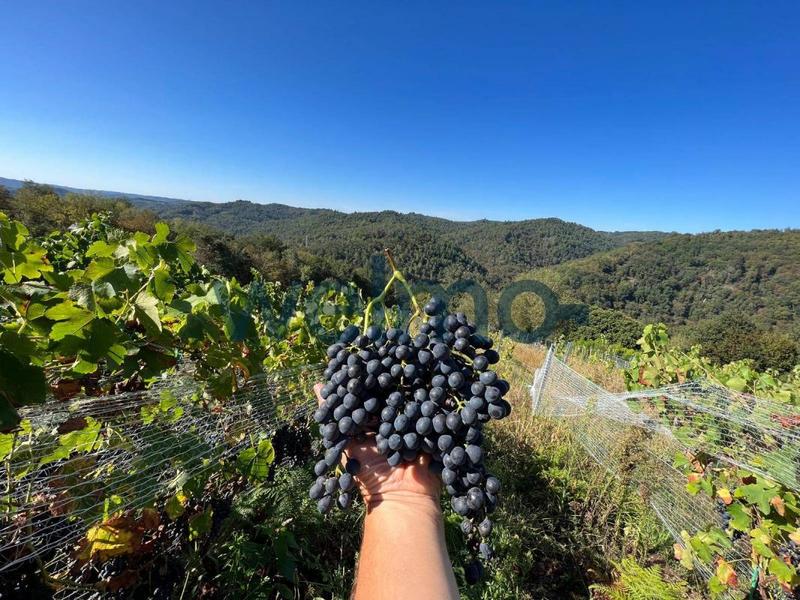 Maison - 150 m² - 3 pièces