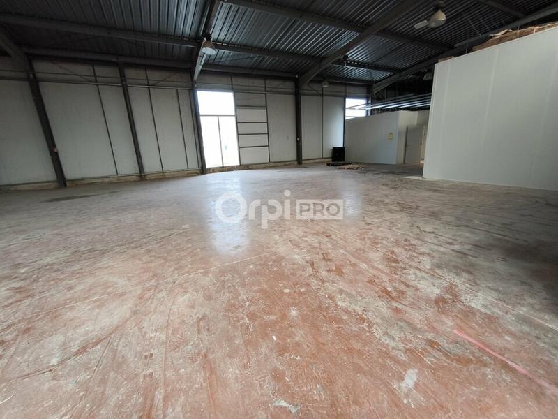 Local d'activité / Entrepôt - 1 500 m²