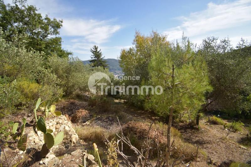 Terrain - 895 m²