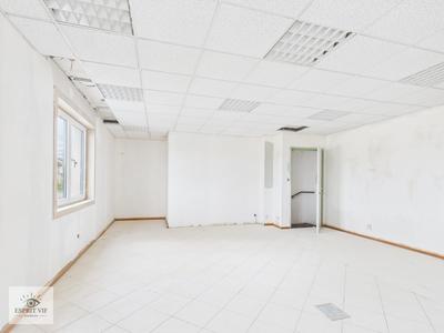 Bureau - 167 m²