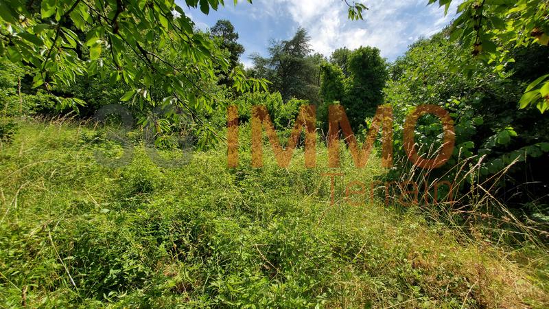 Terrain constructible - 3 313 m²