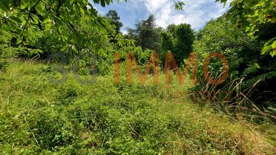 Terrain constructible - 3 313 m²