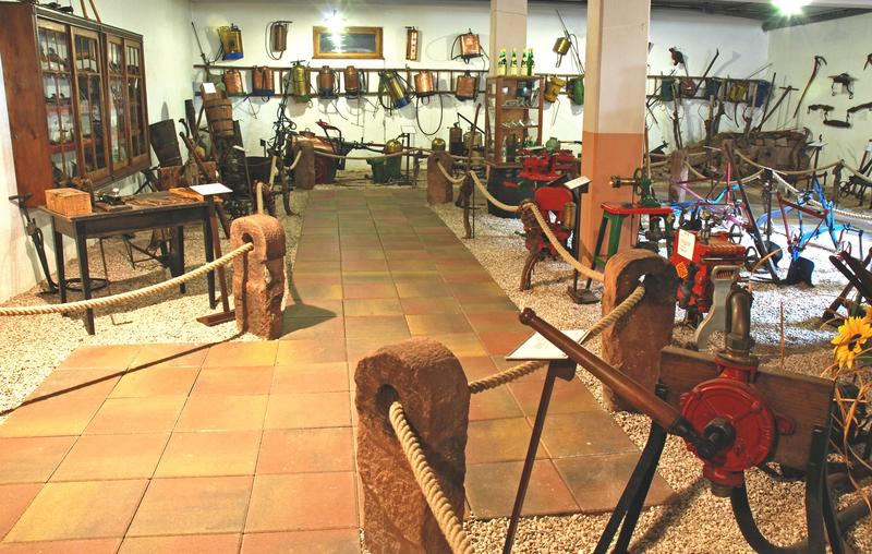 Visite de la cave du Vieil Armand et de son musée vigneron