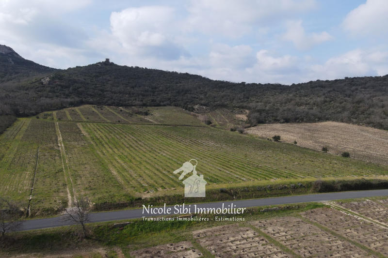Terrain agricole - 17 985 m²