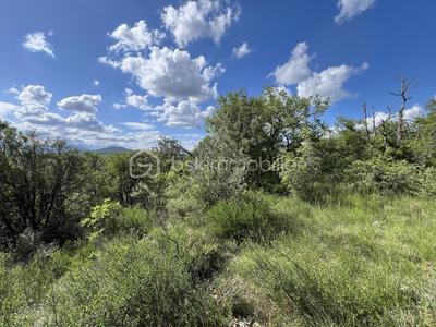 Terrain - 4 899 m²