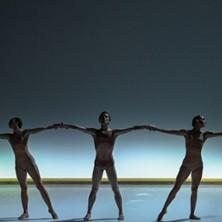 Malandain Ballet Biarritz - Midi Minuit