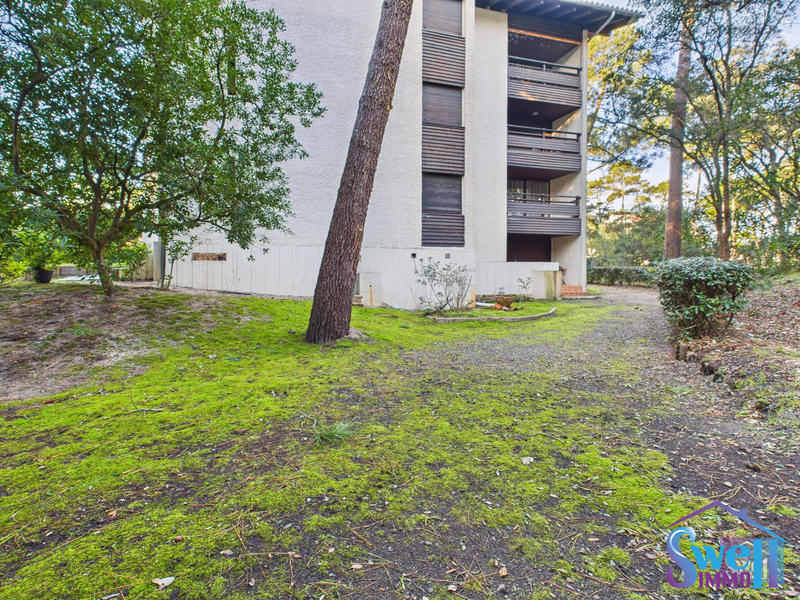 Appartement - 31 m² - 3 pièces