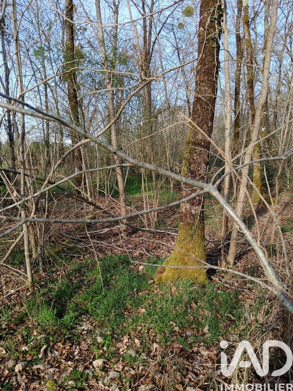 Terrain - 24 045 m²