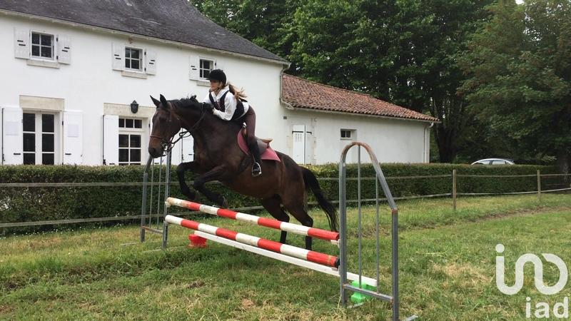 Maison - 270 m² - 10 pièces