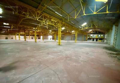 Entrepôt - 4 910 m²