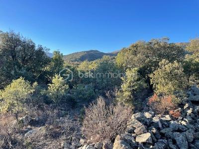 Terrain agricole - 6 500 m²