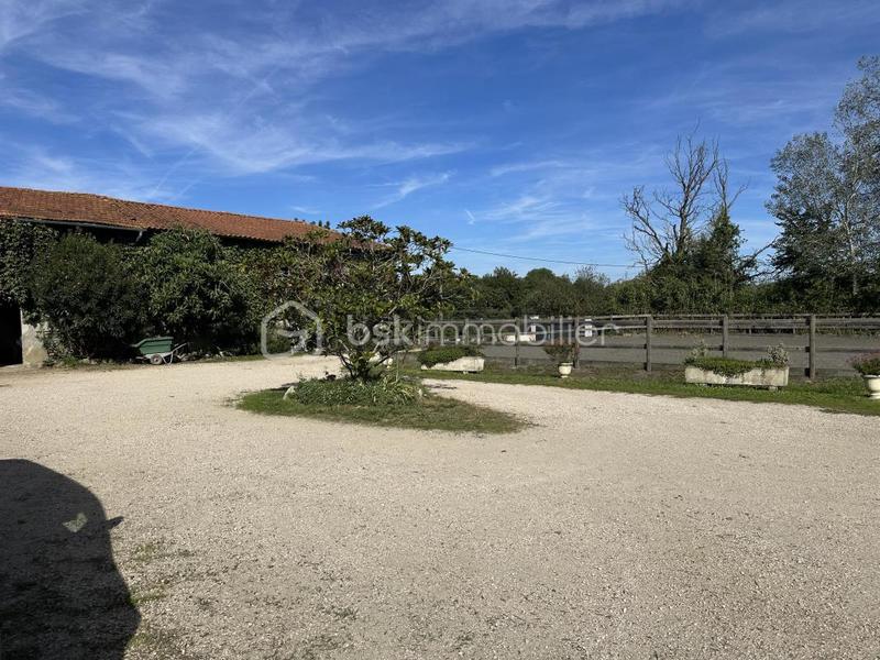 Maison de domaine équestre - 380 m² - 11 pièces