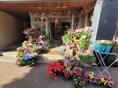 Bureau - 35 m² - 3 pièces